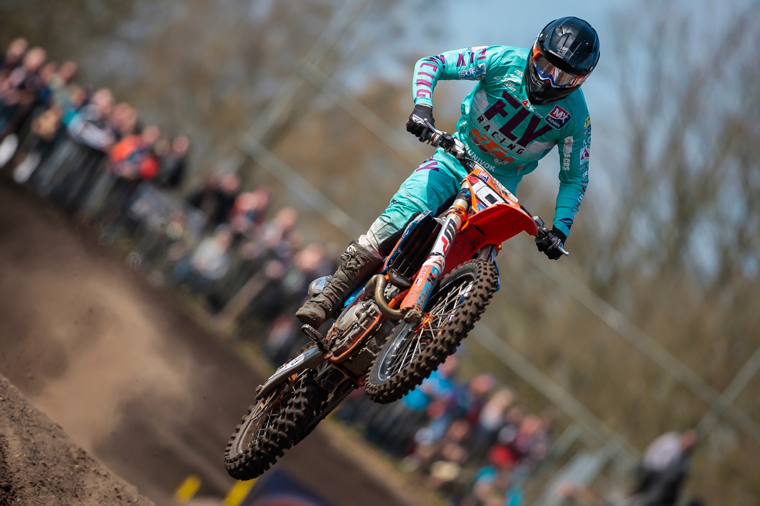 Roman Borák sikyna01-2.jpg