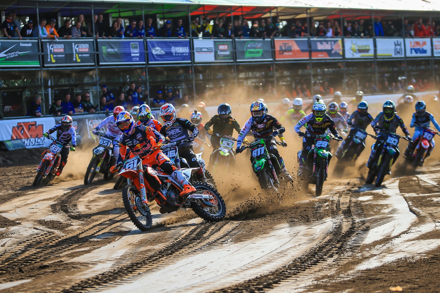 Roman Borák start-mx2-nl-2019.jpg
