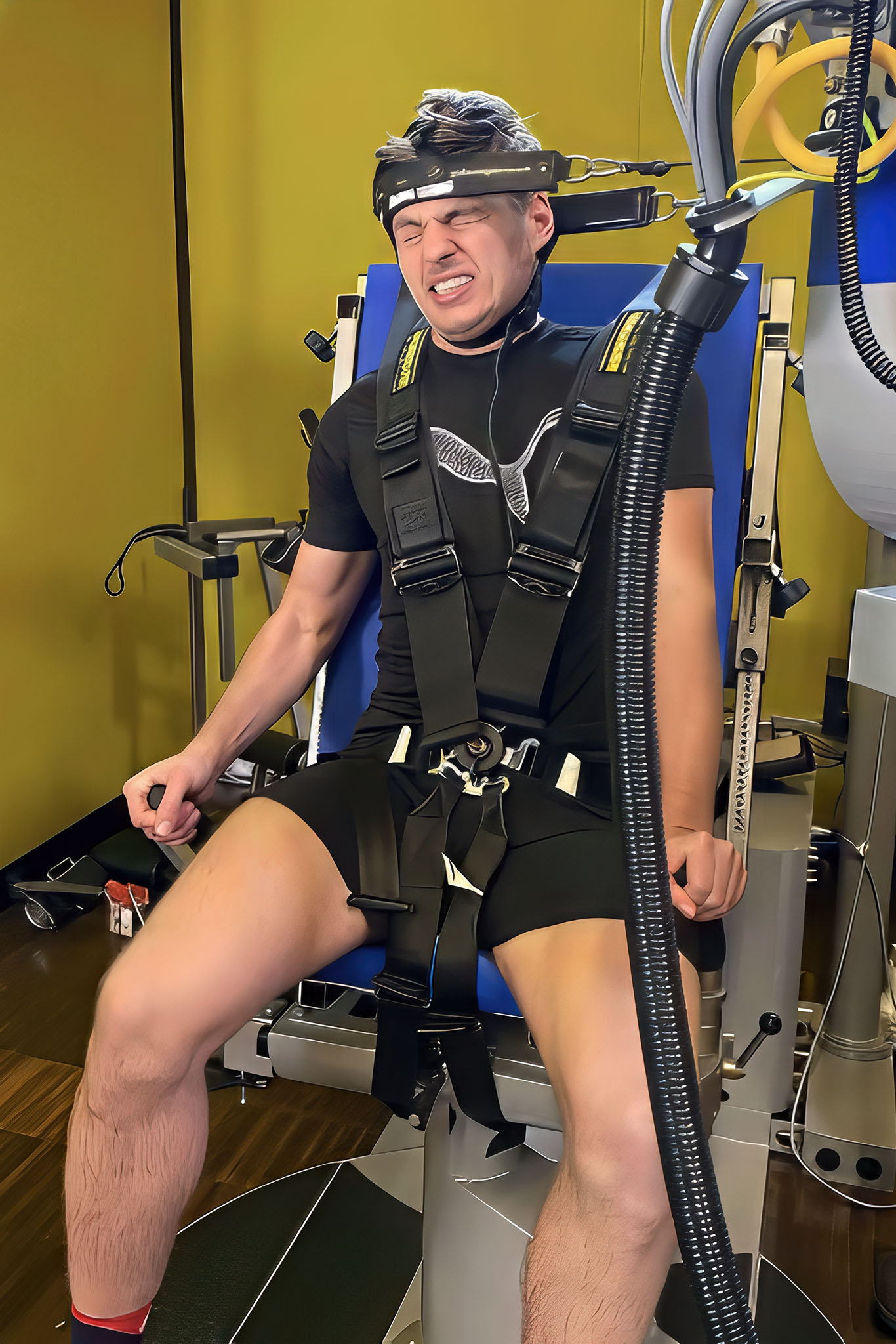 facebook verstappen.jpg