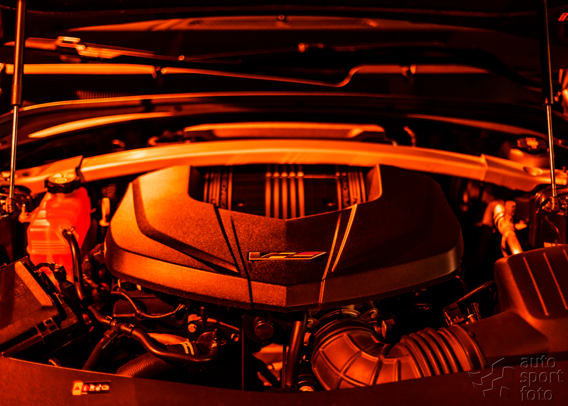 Jakub P&aacute;nik;"Srdce" V&aacute;s dostane