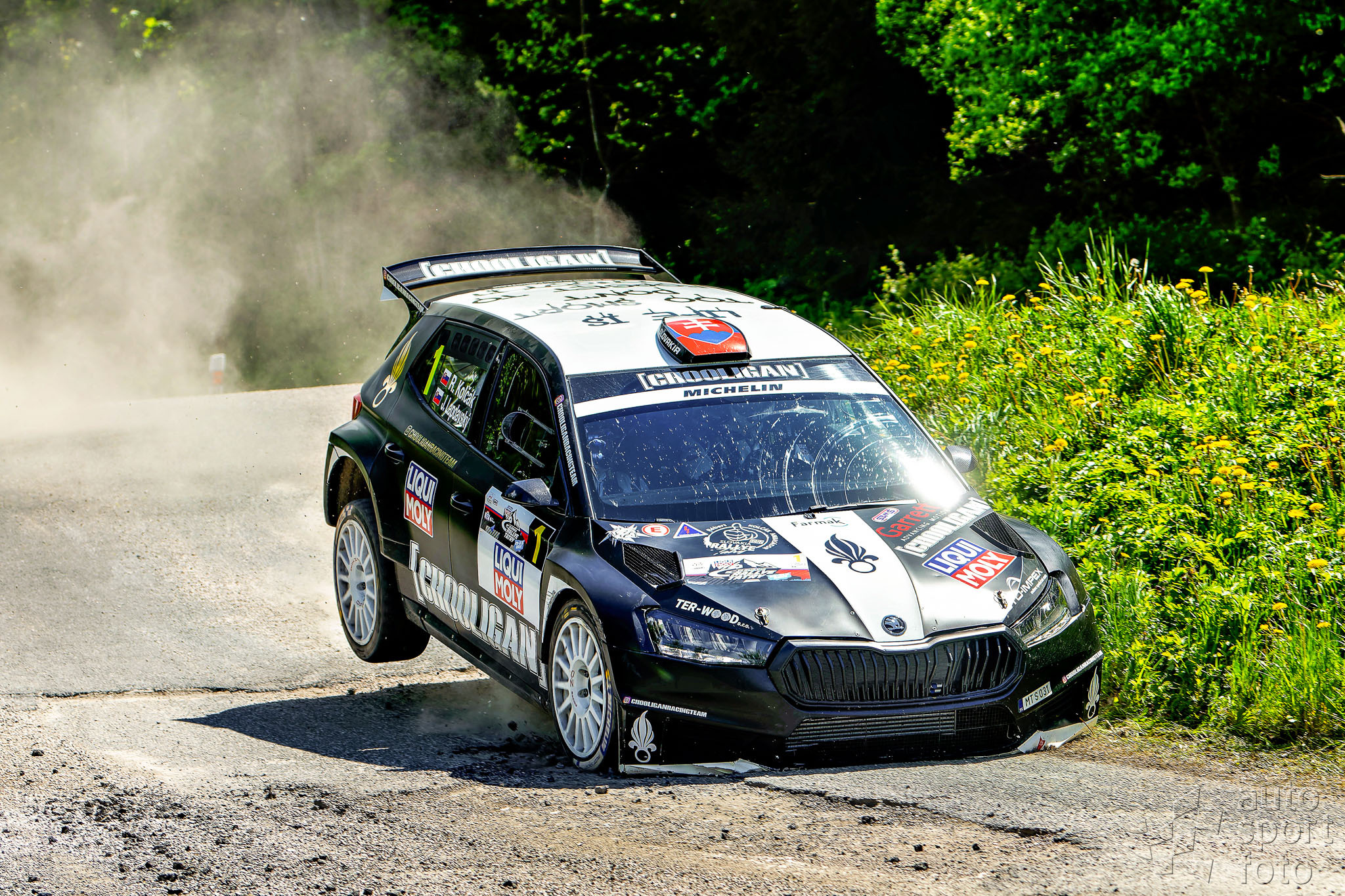 B. &Scaron;trauch;dsc-1138-8.jpg