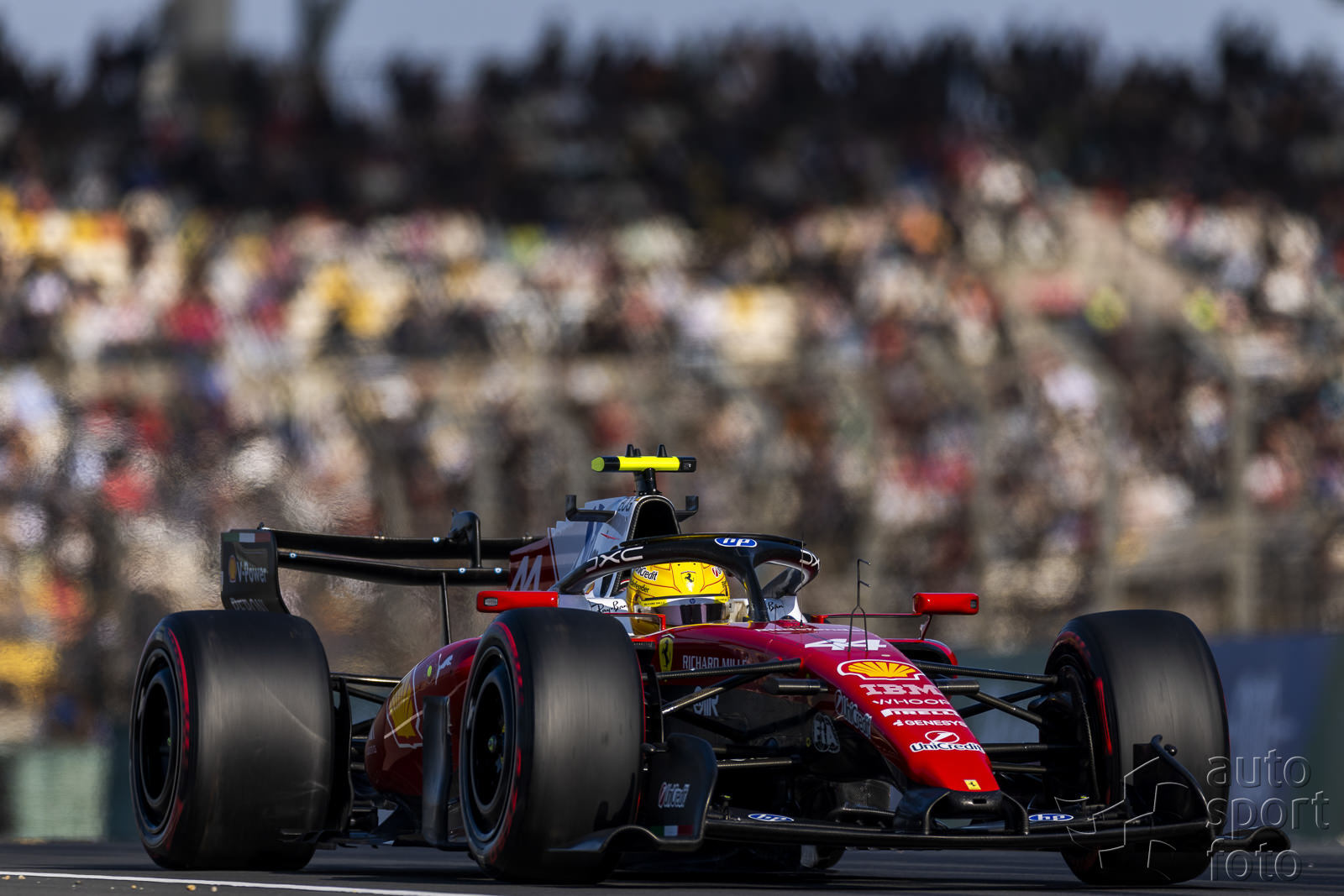 Martin Trenkler;ham-2026-02-cn-0661.jpg