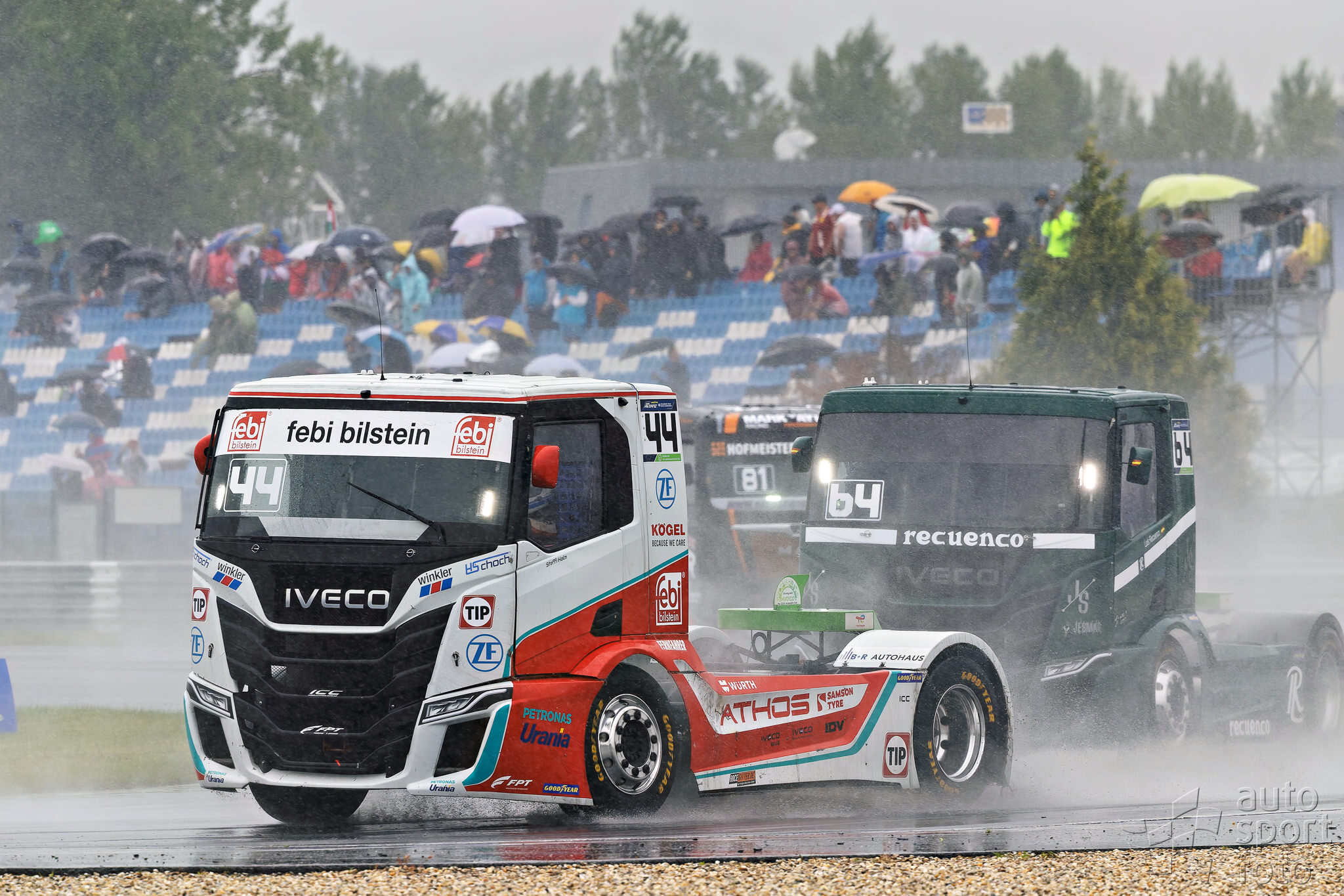 T. Szabosi;asf-7438-11.jpg