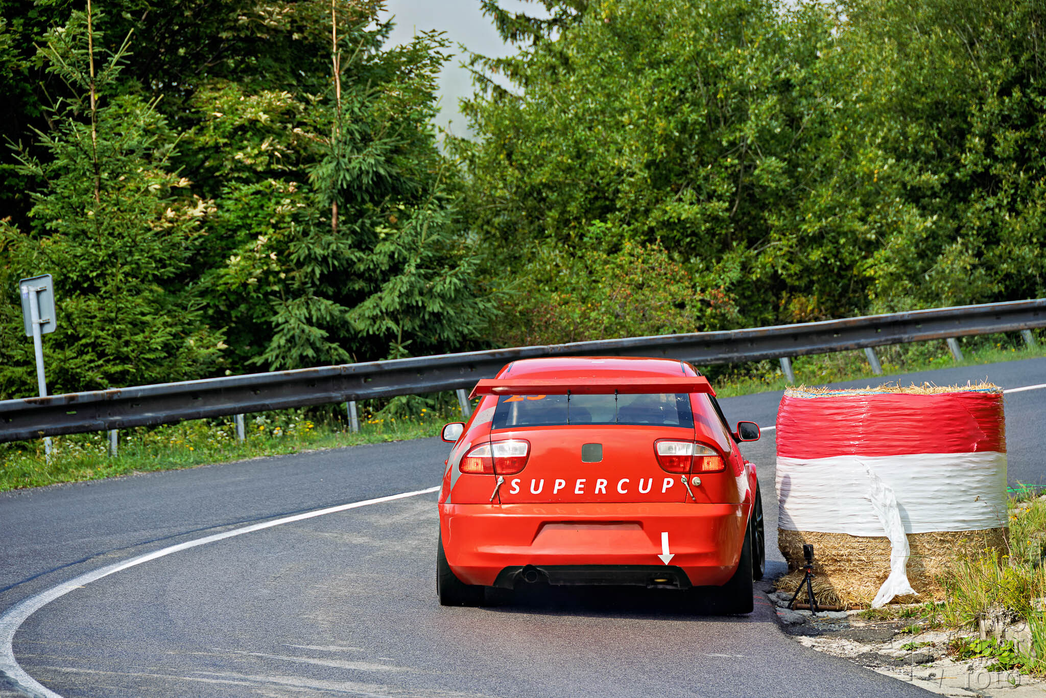 T. Szabosi;asf-1248-10.jpg