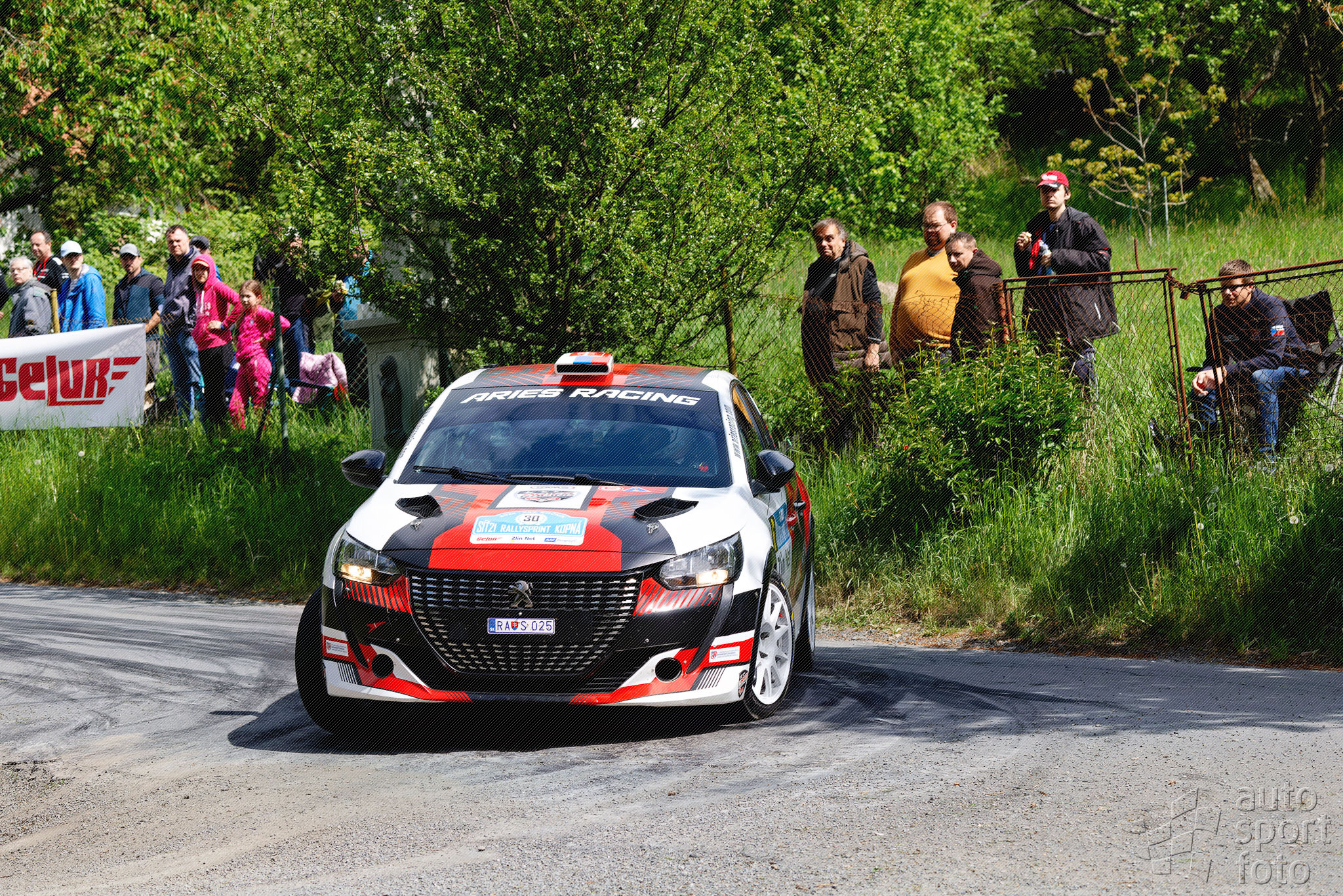 T. Szabosi;asf-3477-4.jpg