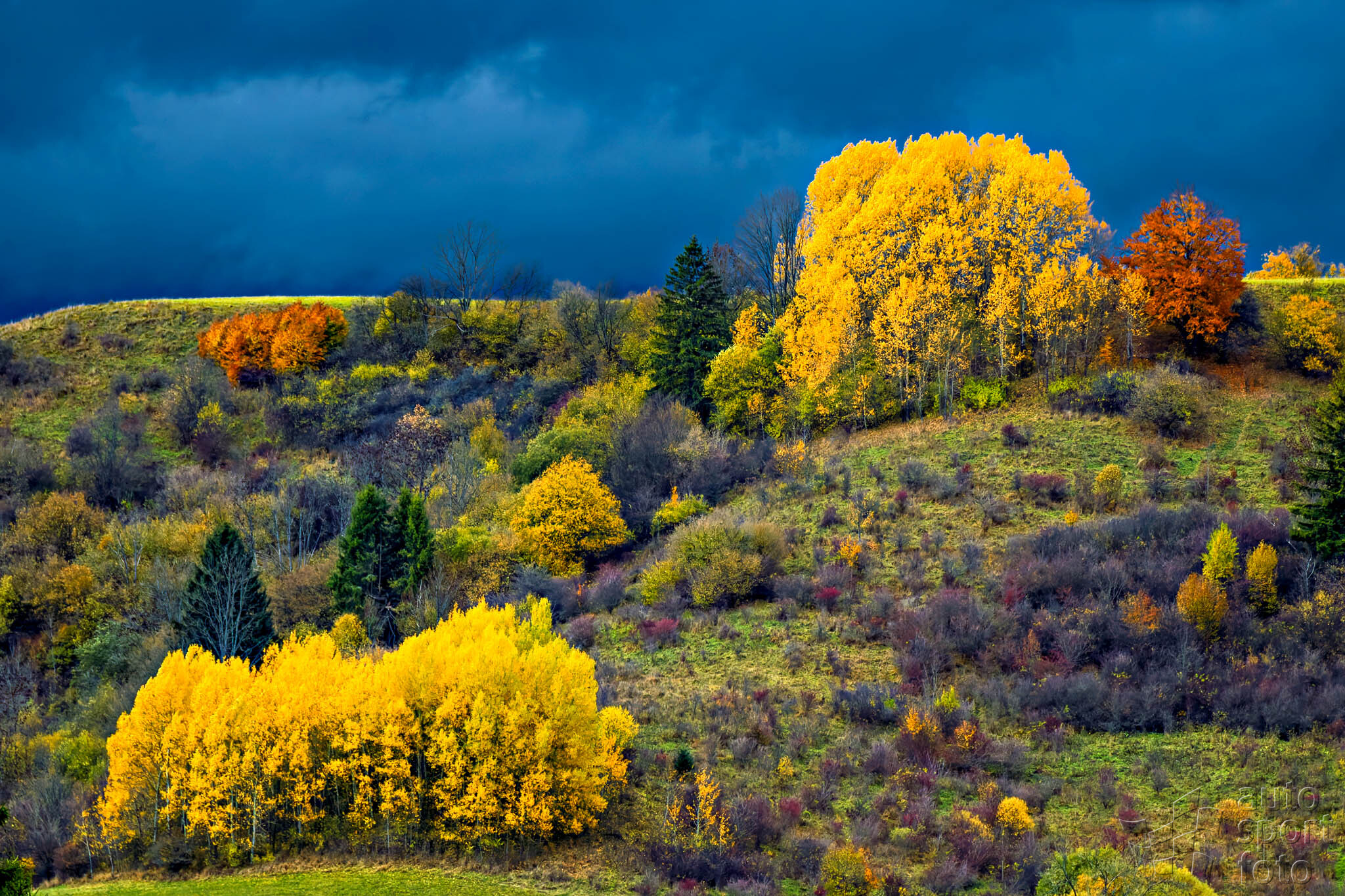 T. Szabosi;asf-7503-12.jpg