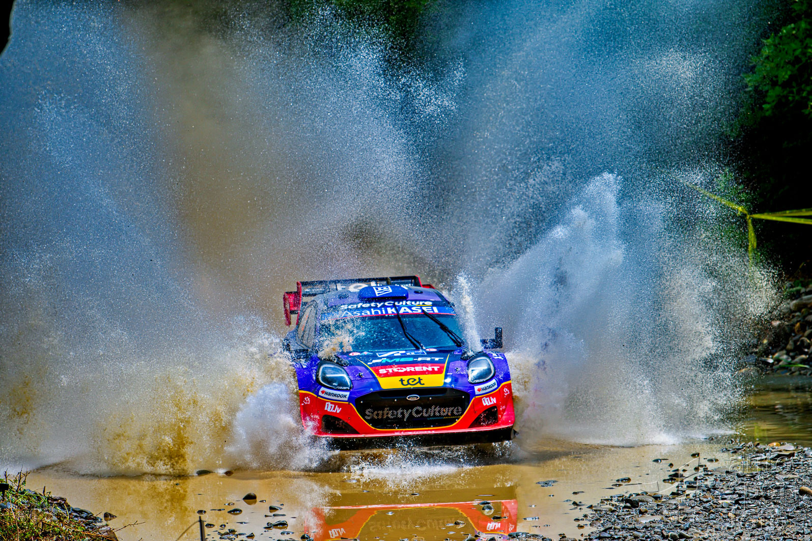 B. &Scaron;trauch;dsc-0416-14.jpg