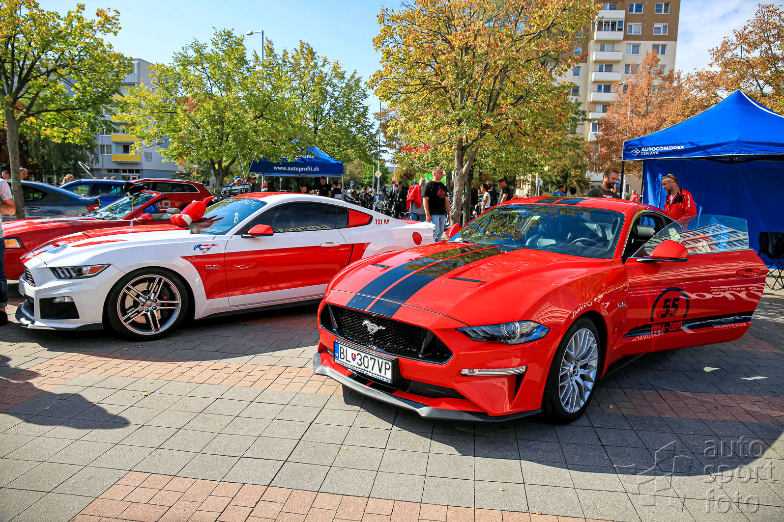 Mari&aacute;n Barto&scaron;;img-9911-10.jpg